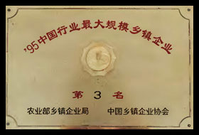 主要榮譽(yù)X11.jpg